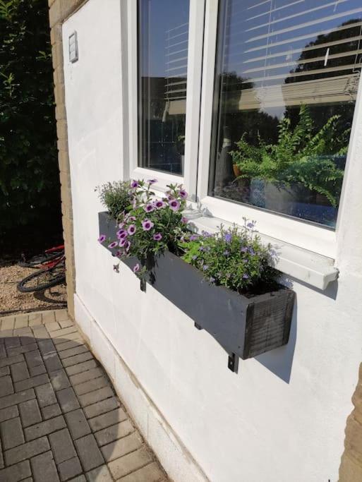 The Old Bar In Wiltshire - 1 Bedroom Guesthouse Chippenham  Luaran gambar